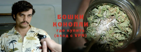 ГАЛЛЮЦИНОГЕННЫЕ ГРИБЫ Пересвет