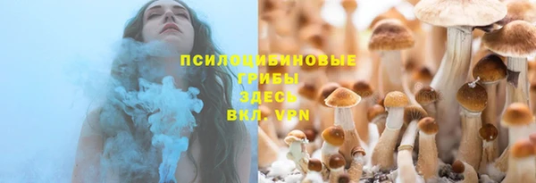 ГАЛЛЮЦИНОГЕННЫЕ ГРИБЫ Пересвет