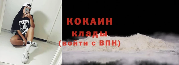 сатива Вязники