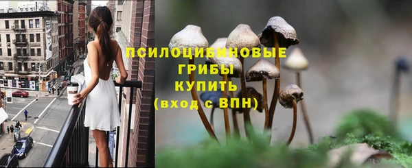 таблы Дмитров