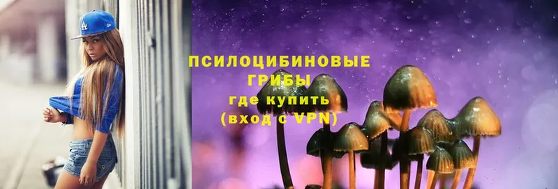 Галлюциногенные грибы Psilocybe  omg как зайти  Лукоянов  наркотики 